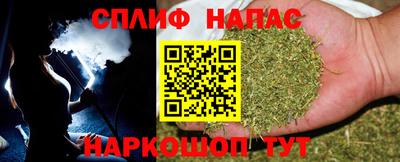 СК Будённовск
