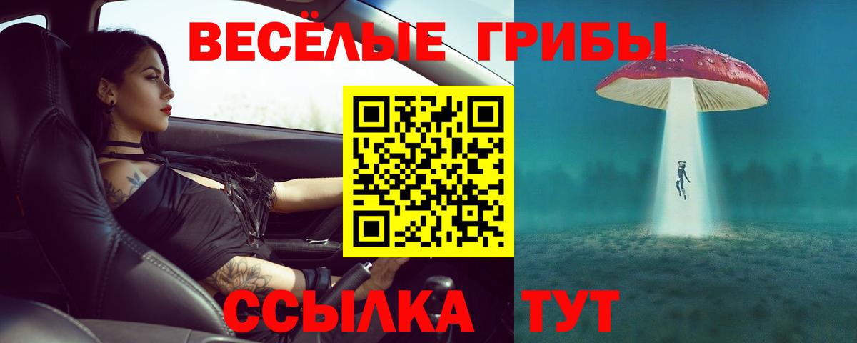 Кострома  Псилоцибиновые грибы ЛСД  Вход с VPN  Галлюциногенные грибы прущие грибы 